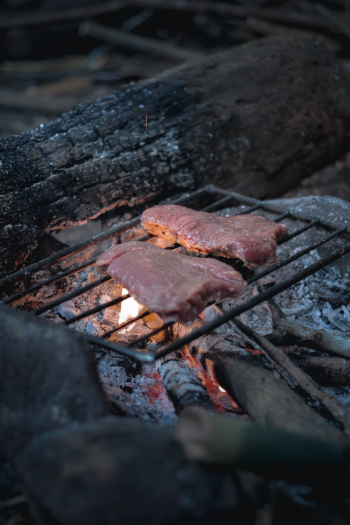 Grilling Meat Grilling Meat