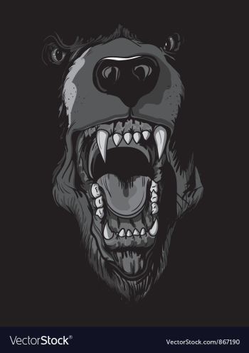 Grizzly bear t-shirt design vector image Grizzly bear t-shirt design vector image