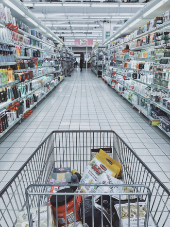 Grocery Cart With Item Grocery Cart With Item