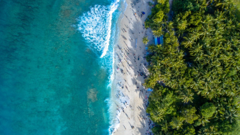 Group of People on Shoreline