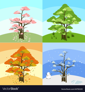 group of trees with four season trees in one group of trees with four season trees in one