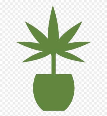 Grow More Medical Marijuana - Hemp Grow More Medical Marijuana - Hemp