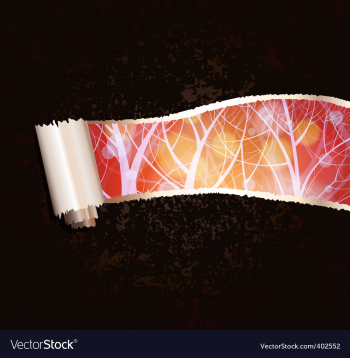 Grunge background vector image Grunge background vector image