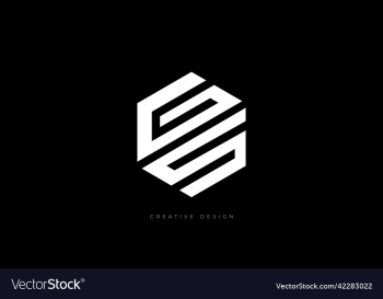 gs letter branding hexagon shape logo
