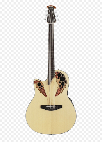 Guitar Guitar
