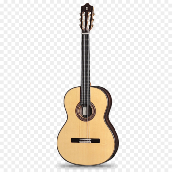 Guitar Guitar