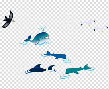 Gulls Bird Cartoon, Color cartoon whale bird seagull transparent background PNG clipart