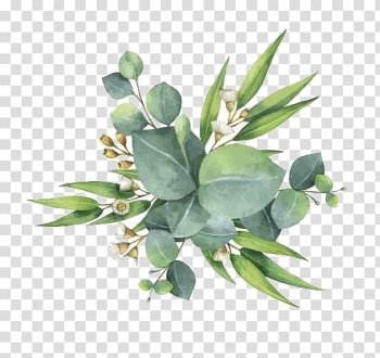 Gum trees Euclidean Leaf Flower, Watercolor green leaves, green leaf plants transparent background PNG clipart