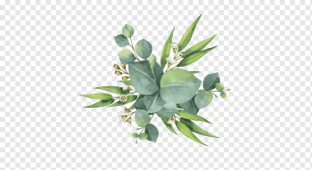 Gum trees Euclidean Leaf Flower, Watercolor green leaves, green leaf plants, watercolor Painting, watercolor Leaves, leaf png