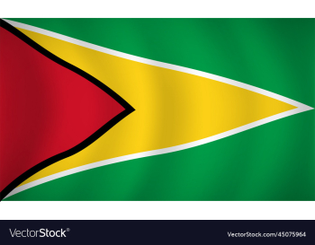 guyana flag background