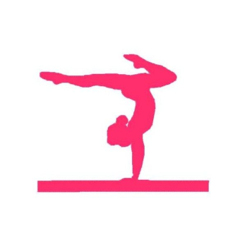 Gymnast Pictures | Free download best Gymnast Pictures on ...
