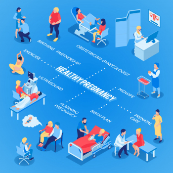 Gynecology and pregnancy flowchart with birth plan symbols isometric Free Vector