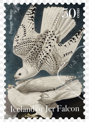 Gyrfalcon png post stamp, ephemera | Free PNG - rawpixel Gyrfalcon png post stamp, ephemera | Free PNG - rawpixel