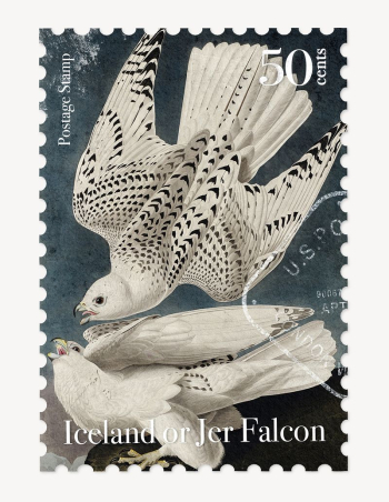 Gyrfalcon postage stamp, ephemera collage | Free PSD - rawpixel Gyrfalcon postage stamp, ephemera collage | Free PSD - rawpixel