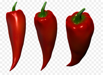 Habanero University for the Creative Arts, Rochester Campus Bird's eye chili Bell pepper Tabasco pepper - alan infographic 