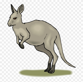 Habitat Map Clipart Kangaroo Clip Art Library - Kangaroo Animated Habitat Map Clipart Kangaroo Clip Art Library - Kangaroo Animated