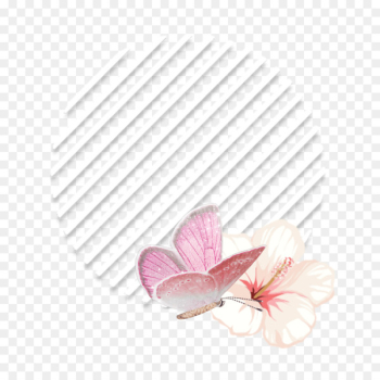 Hair, Lotion, Shampoo, Pink, Petal PNG Hair, Lotion, Shampoo, Pink, Petal PNG