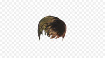 Hairstyle Comb Long hair - Men's fashion brown hair Hairstyle Comb Long hair - Men's fashion brown hair