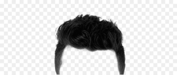 Hairstyle Fashion - Hairstyle Individuality Hairstyle Fashion - Hairstyle Individuality