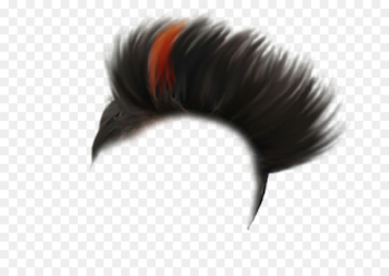 Hairstyle PicsArt Photo Studio Fashion - hair removal Hairstyle PicsArt Photo Studio Fashion - hair removal