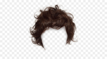 Hairstyle Wig Fashion - wig vector Hairstyle Wig Fashion - wig vector