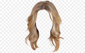 Hairstyle Wig - hair Hairstyle Wig - hair