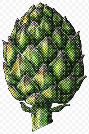 Halftone artichoke sticker design element | Free transparent png - 2351717 Halftone artichoke sticker design element | Free transparent png - 2351717