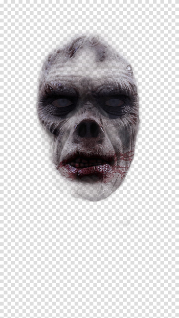Halloween app Zombie Camera, face_ transparent background PNG clipart Halloween app Zombie Camera, face_ transparent background PNG clipart