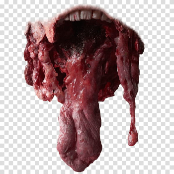 Halloween app Zombie Camera, mouth_ transparent background PNG clipart Halloween app Zombie Camera, mouth_ transparent background PNG clipart