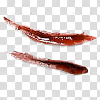 Halloween app Zombie Camera, scar_ transparent background PNG clipart Halloween app Zombie Camera, scar_ transparent background PNG clipart