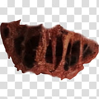 Halloween app Zombie Camera, scar_ transparent background PNG clipart Halloween app Zombie Camera, scar_ transparent background PNG clipart