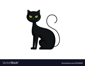 halloween black cat halloween black cat
