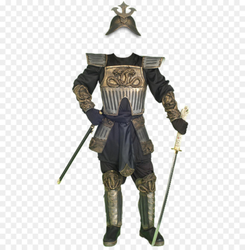 Halloween costume Body armor Clothing BuyCostumes.com - knight armour PNG 