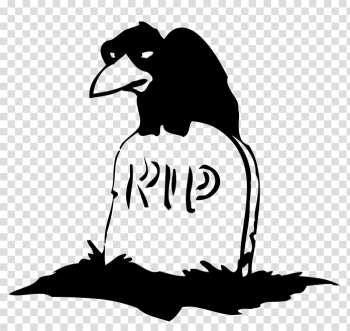 Halloween Crow PNG Download Image Halloween Crow PNG Download Image