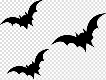 Halloween Holiday Party , Halloween transparent background PNG clipart Halloween Holiday Party , Halloween transparent background PNG clipart