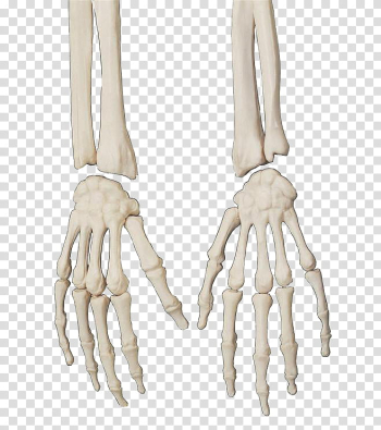HALLOWEEN O, pair of skeleton hands transparent background PNG clipart HALLOWEEN O, pair of skeleton hands transparent background PNG clipart