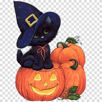 Halloween Party 31 October Blog witch, halloween transparent background PNG clipart Halloween Party 31 October Blog witch, halloween transparent background PNG clipart