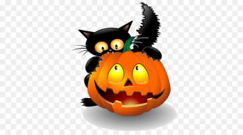 Halloween Pumpkins Cat Jack-o'-lantern - cat Halloween Pumpkins Cat Jack-o'-lantern - cat