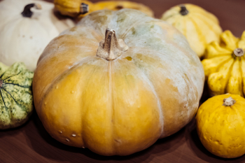 Halloween pumpkins closeup Halloween pumpkins closeup