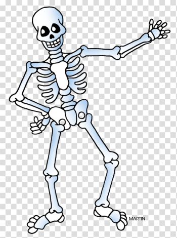 Halloween Skeleton PNG Download Image Halloween Skeleton PNG Download Image