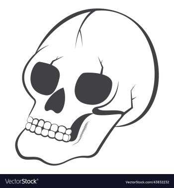 halloween skull line art halloween skull line art