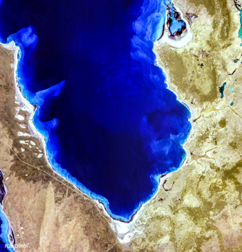 Hamelin Pool Marine Nature Reserve, located i.. | Free public domain photo - 440631