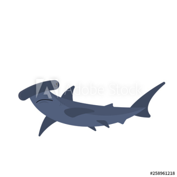 Hammerhead shark