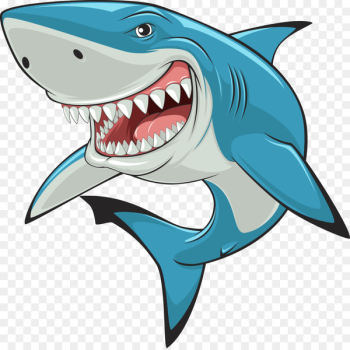 Hammerhead shark Great white shark Clip art - Vector Shark Hammerhead shark Great white shark Clip art - Vector Shark