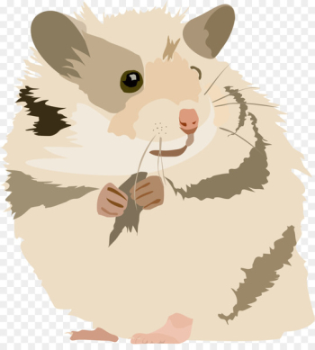 Hamster, Gerbil, Golden Hamster, Cartoon PNG Hamster, Gerbil, Golden Hamster, Cartoon PNG