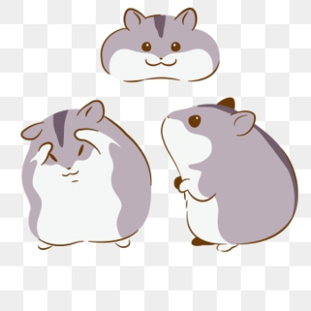 Hamsters PNG Images | Vector and PSD Files | Free Download on Pngtree