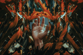 Hand Among Orange Leaves Hand Among Orange Leaves