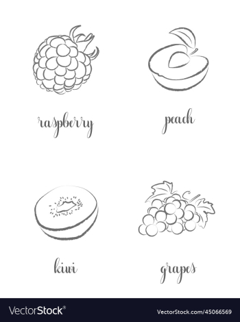 hand draw frutis hand draw frutis