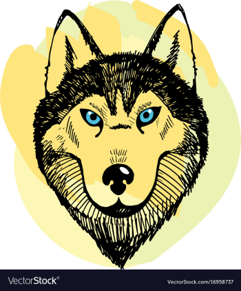 Hand draw husky portrait vector image Hand draw husky portrait vector image