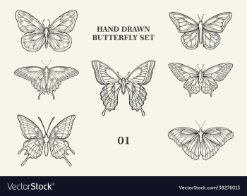 hand drawing butterfly set 01 hand drawing butterfly set 01